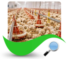 Artcan Proje ve Danışmanlık Hizmetleri